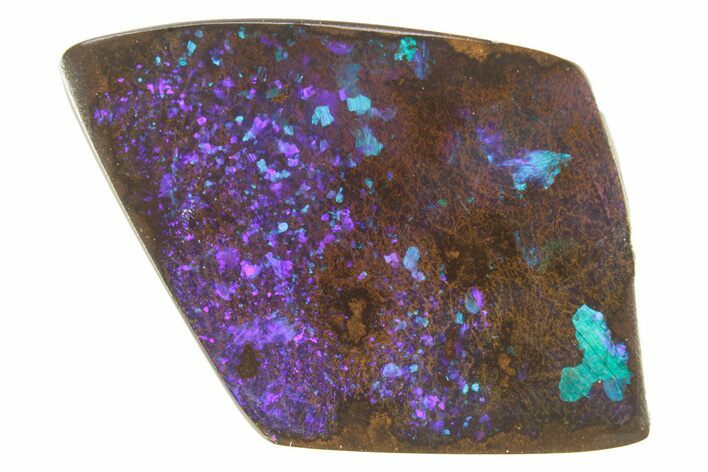 Colorful Polished Boulder Opal Specimen - Queensland, Australia #381763